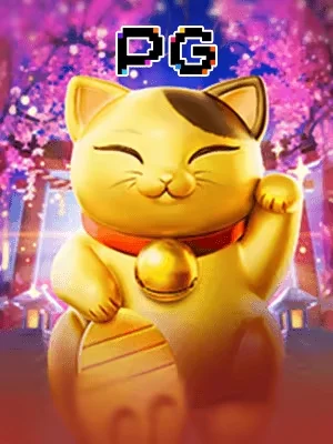 tv66 Game 06